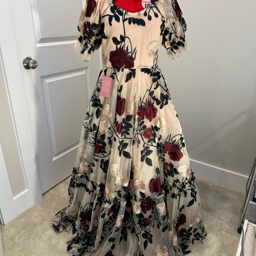 Ivy City Co - Amora - Floral Maxi Dress - Cream and Red